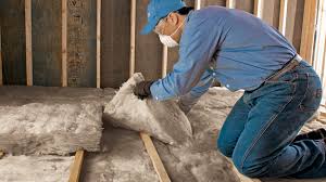 Best Insulation Removal  in Cascade, IA